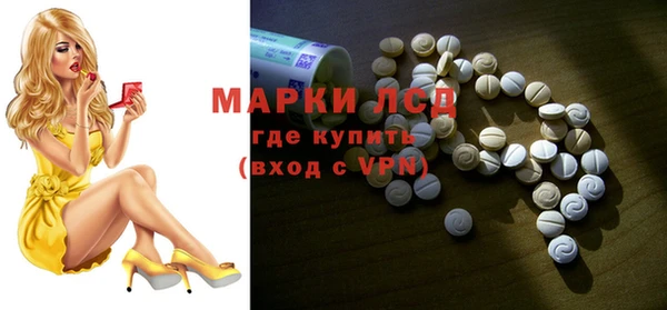гашик Арсеньев