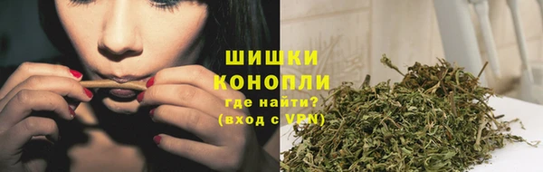 spice Аркадак