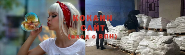 spice Аркадак
