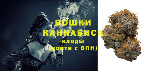 гашик Арсеньев
