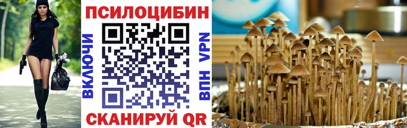 Галлюциногенные грибы мицелий  что такое   Тайшет 